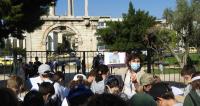 Η ε΄ Δημοτικού στο Ολυμπιείο