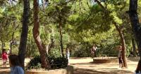 Μοντέρνος χορός στο δασάκι 