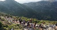 Οι Περιβαλλοντικές Ομάδες στη Νάξο