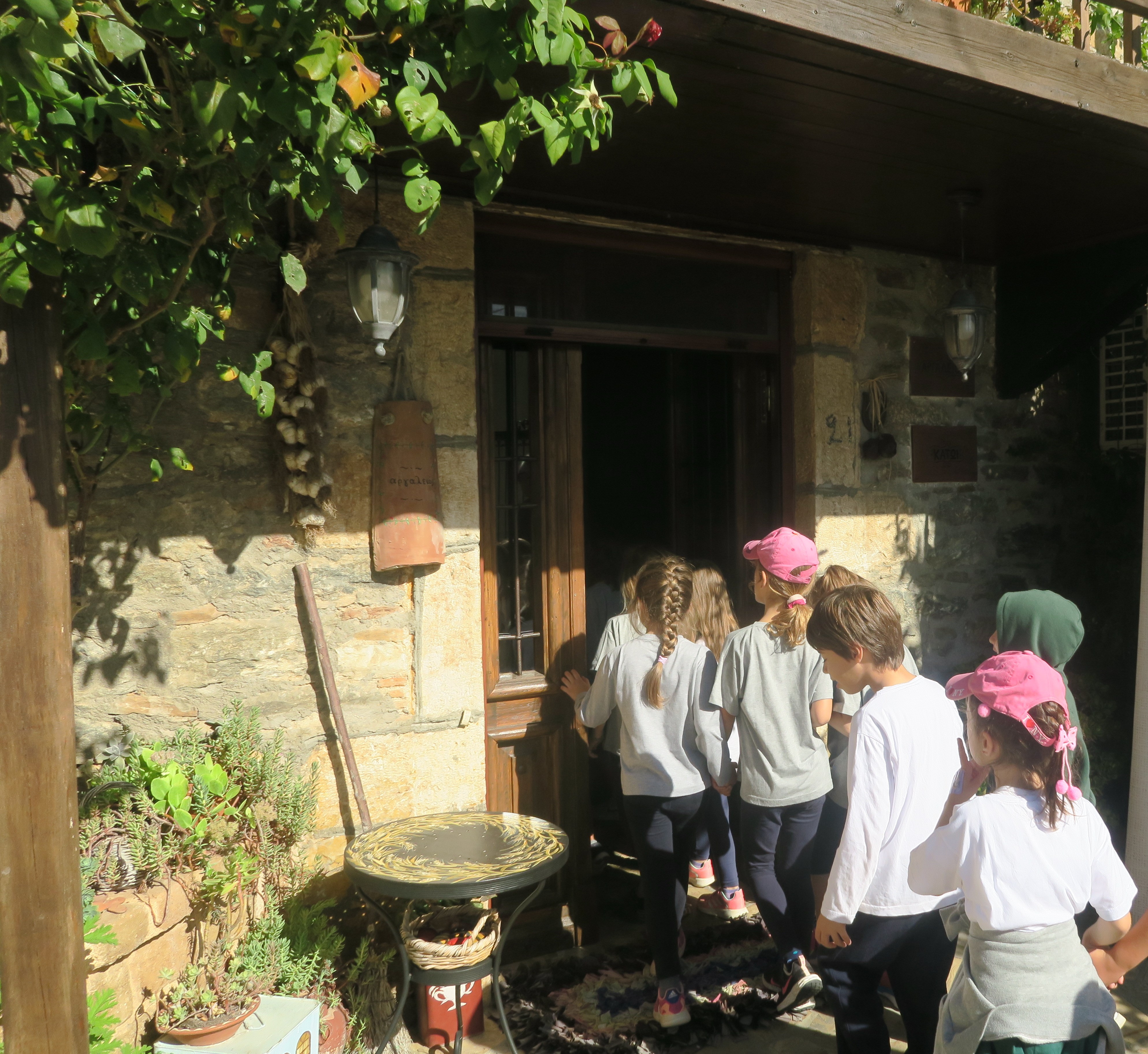 Η α’ τάξη μαθαίνει για τον τρύγο