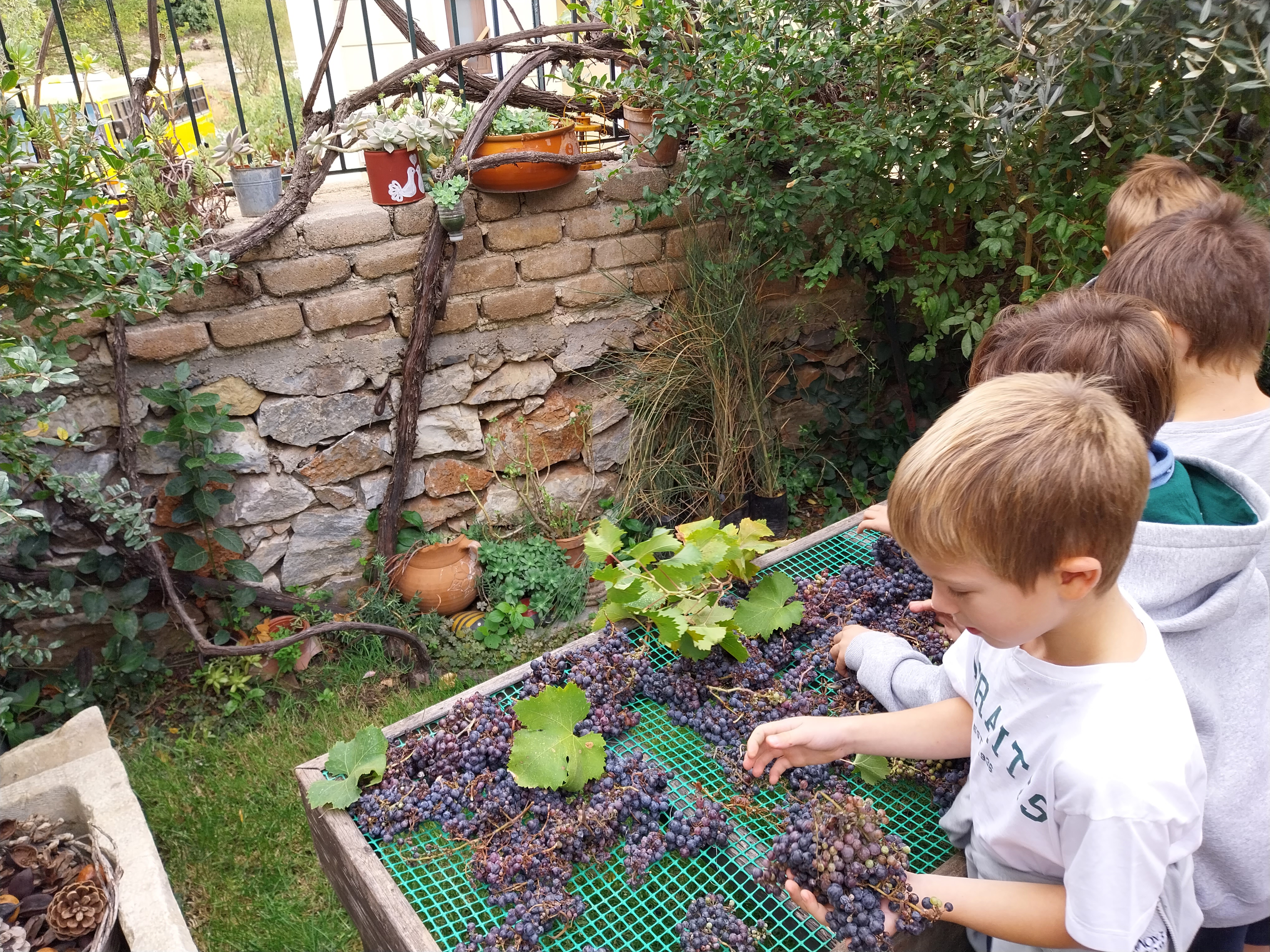 Η α’ τάξη Δημοτικού στο Ευρωπαϊκό Μουσείο Άρτου