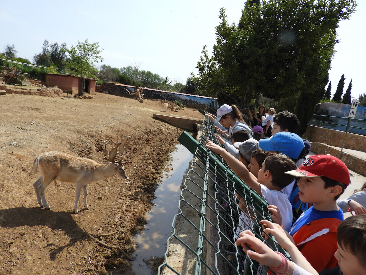 v_dim_-_attiko_parko