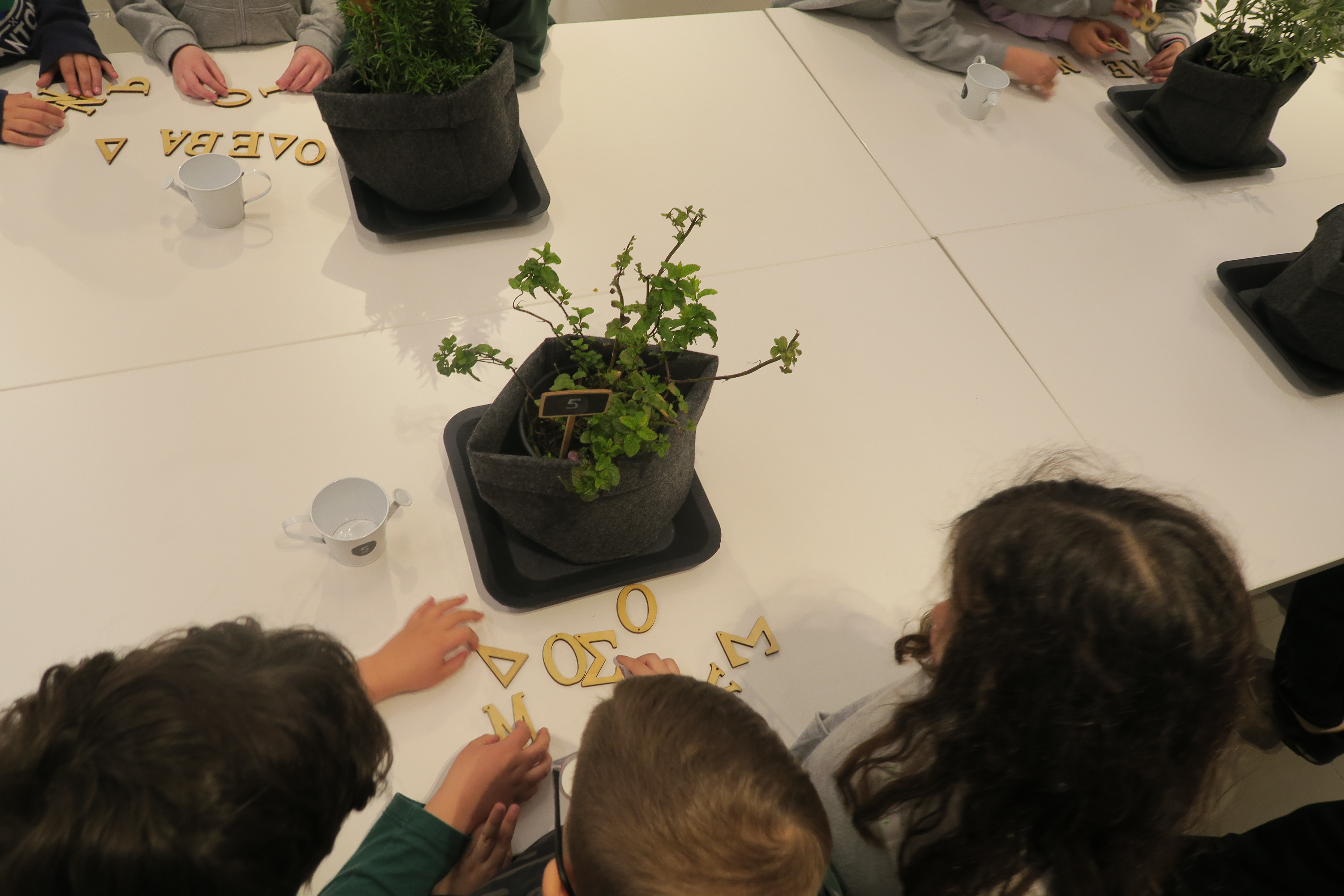 Η α’ Δημοτικού στο Ίδρυμα Σταύρος Νιάρχος