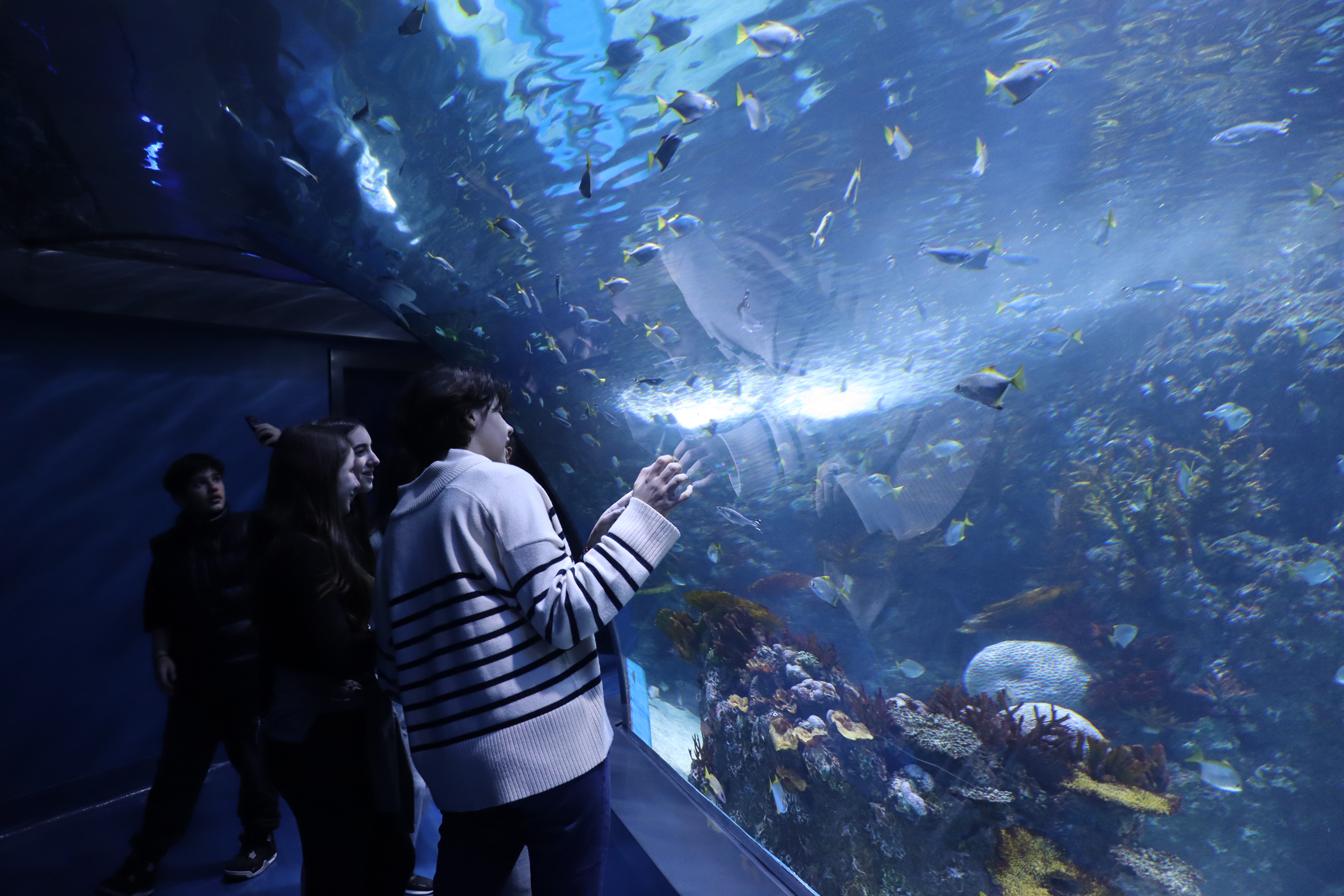 Επίσκεψη στο ενυδρείο Xplore Oceans